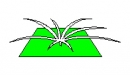 estrellado