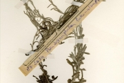 <strong>Asteraceae - Gnaphalium - Gnaphalium luteo-album L.</strong><br />© hnb