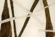 <strong>Araceae - Anchomanes - Anchomanes dalzielii N.E.Br.</strong><br />© hnb