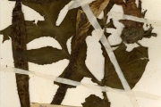 <strong>Araceae - Anchomanes - Anchomanes dalzielii N.E.Br.</strong><br />© hnb