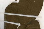<strong>Rubiaceae - Oxyanthus - Oxyanthus unilocularis Hiern</strong><br />© hnb