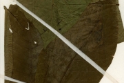 <strong>Rubiaceae - Oxyanthus - Oxyanthus unilocularis Hiern</strong><br />© hnb