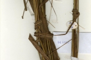 <strong>Poaceae - Andropogon - Andropogon schirensis A.Rich.</strong><br />© hnb