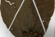 <strong>Rubiaceae - Oxyanthus - Oxyanthus unilocularis Hiern</strong><br />© hnb