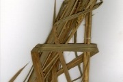 <strong>Poaceae - Pennisetum - Pennisetum purpureum Schumach.</strong><br />© hnb