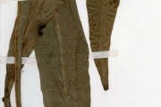 <strong>Polypodiaceae - Microsorum - Microsorum punctatum (L.) Copel.</strong><br />© hnb