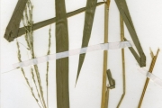 <strong>Poaceae - Oryza - Oryza barthii A.Chev.</strong><br />© hnb