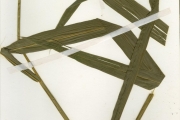 <strong>Poaceae - Oryza - Oryza barthii A.Chev.</strong><br />© hnb