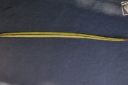 <strong>Celastraceae - Cassine orientalis - (Jacq.) Kuntze</strong><br />© Sarrailh Jean-Michel / CIRAD