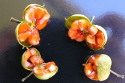 <strong>Pittosporaceae - Pittosporum senacia - Putt.</strong><br />© Sarrailh Jean-Michel / CIRAD